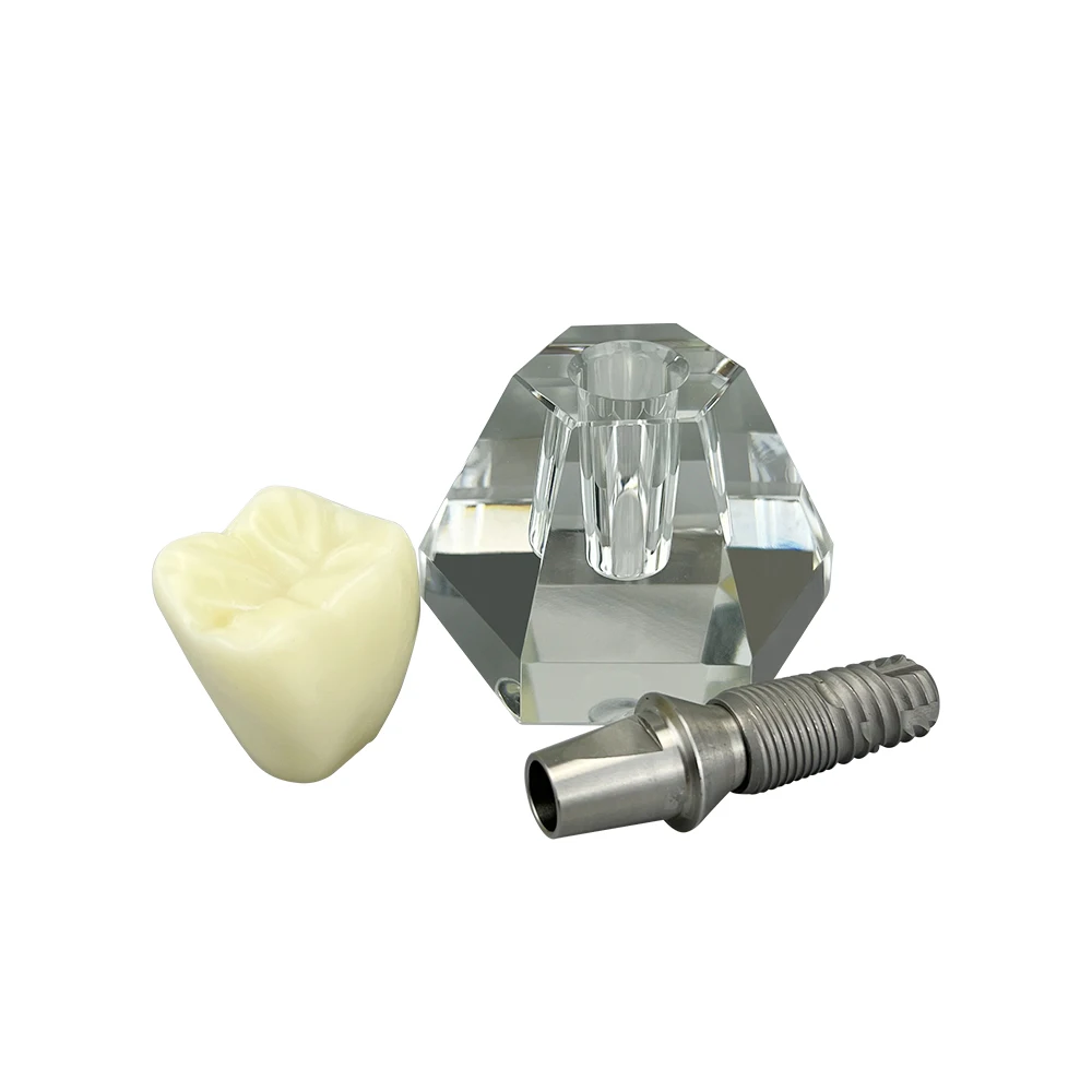 Dantų Dantų Modelis 4 Kartus Vieno Danties Vainiko Implantas Mokymo, Demonstravimo Priemonė, Odontologija, Stomatologas Studentų Mokymo Studijų Modelis . ' - ' . 4
