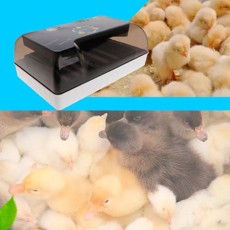 Kiaušinių Inkubatorius Ūkio Kiaušinius, Prietaiso, Mašinos, Žemės ūkio Hatcher 220V Mini Universalus Profesionalus LED Prekių Vištienos Višta . ' - ' . 3