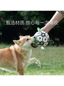 Šunų Mokymo Interaktyvus Futbolo Žaislai Kandimo Atsparus Šviesos Svorio Aukštos Elastinga Saugos Ir Aplinkos Apsaugos